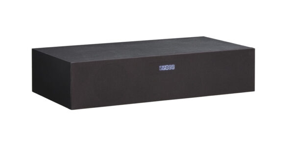 Entertainment Speaker Insert